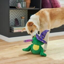 Frisco Magic Wizard Frog Plush Squeaky Dog Toy 7 Frisco Magic Wizard Frog Plush Squeaky Dog Toy -Pet Products Shop 265588 PT3. AC SS1800 V1620939075