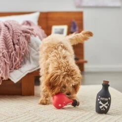 Frisco Magic Potions Latex Squeaky Dog Toy, 2 Count -Pet Products Shop 265632 PT3. AC SS1800 V1620939021