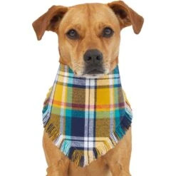 Frisco Blue/Yellow Plaid Dog & Cat Flannel Bandana -Pet Products Shop 267901 PT2. AC SS1800 V1637717796
