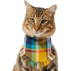 Frisco Blue/Yellow Plaid Dog & Cat Flannel Bandana -Pet Products Shop 267901 PT3. AC SS1800 V1637677287