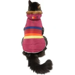 Frisco Mediumweight Colorblock Adventure Insulated Dog & Cat Parka -Pet Products Shop 268421 PT2. AC SS1800 V1628779779