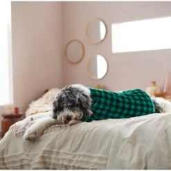 Frisco Dog & Cat Cozy Plush Fleece PJs, Green Plaid 15 Frisco Dog & Cat Cozy Plush Fleece PJs, Green Plaid -Pet Products Shop 268517 PT8. AC SS1800 V1629755447
