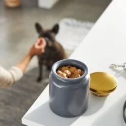 Frisco Modern Gold Rim Ceramic Treat Jar -Pet Products Shop 270190 PT2. AC SS1800 V1620762371