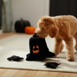 Frisco Halloween Haunted Tree Hide & Seek Puzzle Plush Squeaky Dog Toy -Pet Products Shop 270488 PT3. AC SS1800 V1624817078