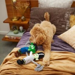 Frisco Halloween Frankenstein & Bride Plush With Rope Squeaky Dog Toy 9 Frisco Halloween Frankenstein & Bride Plush With Rope Squeaky Dog Toy -Pet Products Shop 270496 PT3. AC SS1800 V1624824775