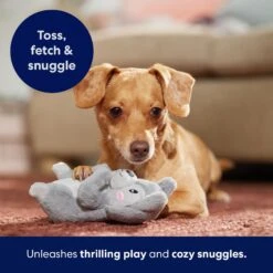 Frisco Camping Squirrel Plush Squeaky Dog Toy 12 Frisco Camping Squirrel Plush Squeaky Dog Toy -Pet Products Shop 271001 PT5. AC SS1800 V1691785245