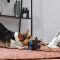 Frisco Camping Binoculars Plush With Rope Squeaky Dog Toy 7 Frisco Camping Binoculars Plush With Rope Squeaky Dog Toy -Pet Products Shop 271009 PT3. AC SS1800 V1625009167