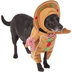 Frisco Front Walking Gingerbread Dog & Cat Costume -Pet Products Shop 276156 PT3. AC SS1800 V1631660334
