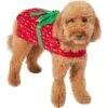 Frisco Holiday Giftbox Dog & Cat Costume -Pet Products Shop 276175 MAIN. AC SS1800 V1631672803