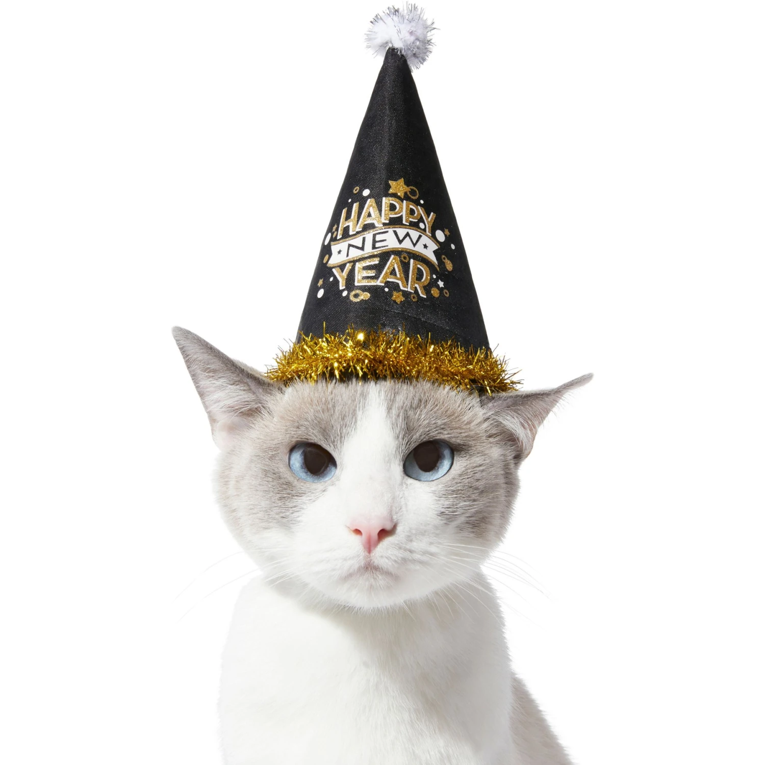 Frisco Happy New Year Dog & Cat Hat 3 Frisco Happy New Year Dog & Cat Hat