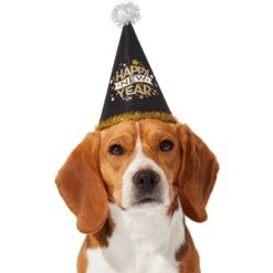 Frisco Happy New Year Dog & Cat Hat 9 Frisco Happy New Year Dog & Cat Hat -Pet Products Shop 276190 PT2. AC SS1800 V1631303599