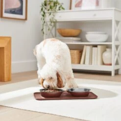 Frisco Silicone Stainless Steel Double Diner Dog & Cat Bowl, Brown 11 Frisco Silicone Stainless Steel Double Diner Dog & Cat Bowl, Brown -Pet Products Shop 277551 PT2. AC SS1800 V1630346531