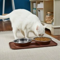 Frisco Silicone Stainless Steel Double Diner Dog & Cat Bowl, Brown 12 Frisco Silicone Stainless Steel Double Diner Dog & Cat Bowl, Brown -Pet Products Shop 277551 PT3. AC SS1800 V1630348104