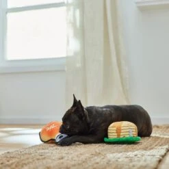 Frisco Fall Pancakes & Maple Syrup Plush Squeaky Dog Toy, 2 Count -Pet Products Shop 285627 PT3. AC SS1800 V1629725170