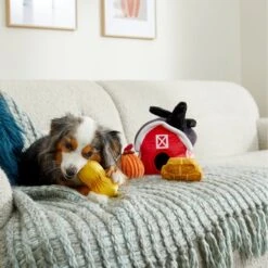 Frisco Fall Farmhouse Hide & Seek Puzzle Plush Squeaky Dog Toy 9 Frisco Fall Farmhouse Hide & Seek Puzzle Plush Squeaky Dog Toy -Pet Products Shop 285629 PT3. AC SS1800 V1629725107