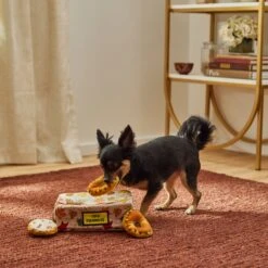 Frisco Fall Box Of Donuts Hide & Seek Puzzle Plush Squeaky Dog Toy -Pet Products Shop 285639 PT3. AC SS1800 V1629725027