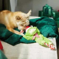 Frisco Holiday Monkey Plush With Rope Squeaky Dog Toy 11 Frisco Holiday Monkey Plush With Rope Squeaky Dog Toy -Pet Products Shop 287115 PT3. AC SS1800 V1632774182