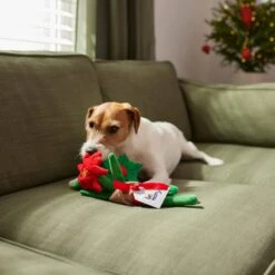 Frisco Flower Bouquet Plush Squeaky Dog Toy -Pet Products Shop 287163 PT3. AC SS1800 V1632776821