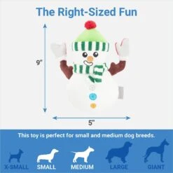 Frisco Holiday Naughty Or Nice Snowman Reversible Plush Squeaky Dog Toy -Pet Products Shop 287219 PT2. AC SS1800 V1637704003