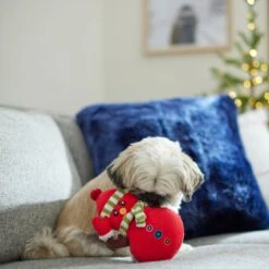 Frisco Holiday Naughty Or Nice Snowman Reversible Plush Squeaky Dog Toy -Pet Products Shop 287219 PT3. AC SS1800 V1632774615