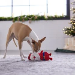 Frisco Holiday Santa & Snowman Reversible Plush Squeaky Dog Toy 11 Frisco Holiday Santa & Snowman Reversible Plush Squeaky Dog Toy -Pet Products Shop 287263 PT3. AC SS1800 V1632775712