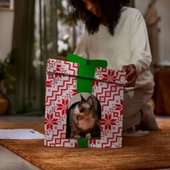 Frisco Holiday Gift Box Cardboard Cat House -Pet Products Shop 287291 PT3. AC SS1800 V1695043502