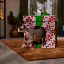 Frisco Holiday Gift Box Cardboard Cat House -Pet Products Shop 287291 PT4. AC SS1800 V1695045716