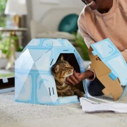 Frisco Igloo Cardboard Cat House 11 Frisco Igloo Cardboard Cat House -Pet Products Shop 287293 PT3. AC SS1800 V1692035199