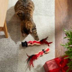 Frisco Holiday Bacon Plush Cat Toy With Catnip, 2 Count 7 Frisco Holiday Bacon Plush Cat Toy With Catnip, 2 Count -Pet Products Shop 287377 PT3. AC SS1800 V1632773555