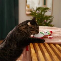 Frisco Naughty Or Nice Snowman Reversible Plush Cat Toy With Catnip -Pet Products Shop 287387 PT3. AC SS1800 V1632774541