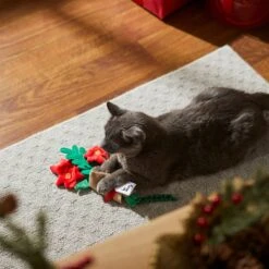 Frisco Flower Bouquet Plush Cat Toy With Catnip 8 Frisco Flower Bouquet Plush Cat Toy With Catnip -Pet Products Shop 287395 PT3. AC SS1800 V1632774747