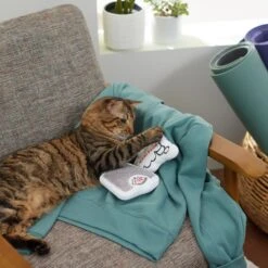 Frisco Scale & Message Bubble Plush Cat Toy With Catnip, 2 Count 7 Frisco Scale & Message Bubble Plush Cat Toy With Catnip, 2 Count -Pet Products Shop 288959 PT3. AC SS1800 V1638288401