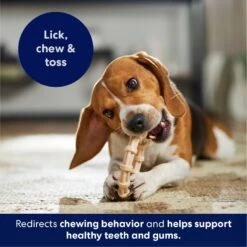 Frisco Ring Tough Nylon Chew Dog Toy, Chicken Flavor 12 Frisco Ring Tough Nylon Chew Dog Toy, Chicken Flavor -Pet Products Shop 290533 PT4. AC SS1800 V1695760990