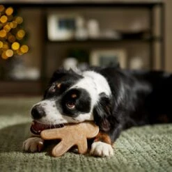 Frisco Nylon Gingerbread Dog Chew Toy, Beef Flavor, Medium -Pet Products Shop 291385 PT3. AC SS1800 V1668108316