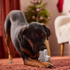 Frisco Holiday Nylon Snowflake Dog Chew Toy, Peanut Butter Flavor, Medium -Pet Products Shop 291387 PT3. AC SS1800 V1629306692