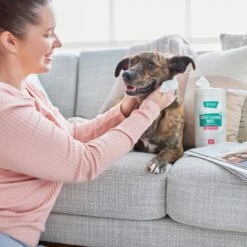 Frisco Gentle Cleaning Waterless Grooming Wipes For Puppies & Kittens, Green Tea Scent 12 Frisco Gentle Cleaning Waterless Grooming Wipes For Puppies & Kittens, Green Tea Scent -Pet Products Shop 291592 PT4. AC SS1800 V1627306695