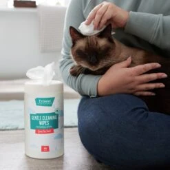 Frisco Gentle Cleaning Waterless Grooming Wipes For Puppies & Kittens, Green Tea Scent 13 Frisco Gentle Cleaning Waterless Grooming Wipes For Puppies & Kittens, Green Tea Scent -Pet Products Shop 291592 PT5. AC SS1800 V1627306905