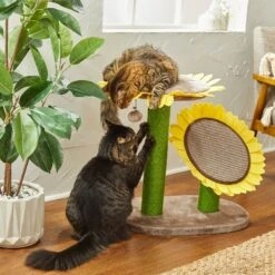 Frisco Sunflower Cat Scratching Post, Two Post With Lounger