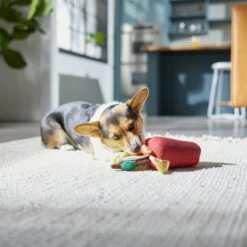 Frisco Brunch Bloody Mary Plush Squeaky Dog Toy 7 Frisco Brunch Bloody Mary Plush Squeaky Dog Toy -Pet Products Shop 297228 PT2. AC SS1800 V1642088343