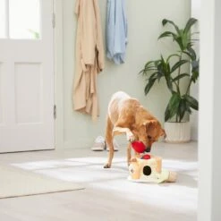 Frisco Brunch Pancake Hide & Seek Puzzle Plush Squeaky Dog Toy -Pet Products Shop 297266 PT3. AC SS1800 V1642087986