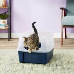 Frisco Plastic Litter Scooper With Caddy & IRIS USA Open Top Litter Box With Scatter Shield -Pet Products Shop 298166 PT6. AC SS1800 V1623202669