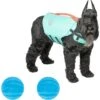 Frisco Active Dog Life Jacket & Frisco Foam Rubber Floating Fetch Ball No Squeak Dog Toy -Pet Products Shop 303364 MAIN. AC SS1800 V1623163652