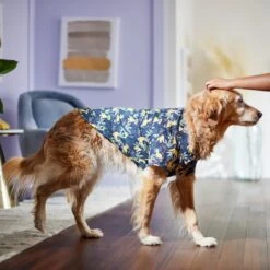 Disney Lion King's Simba Jungle Dog & Cat Shirt 17 Disney Lion King's Simba Jungle Dog & Cat Shirt -Pet Products Shop 311842 PT8. AC SS1800 V1643323713