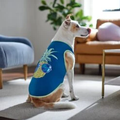 Frisco Pineapple Guy Dog & Cat T-Shirt 13 Frisco Pineapple Guy Dog & Cat T-Shirt -Pet Products Shop 312040 PT8. AC SS1800 V1644466024