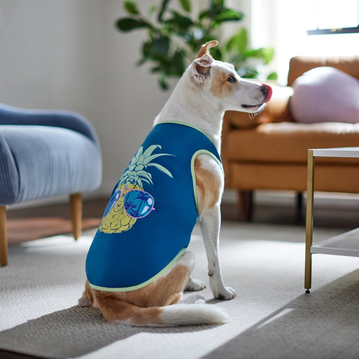 Frisco Pineapple Guy Dog & Cat T-Shirt 8 Frisco Pineapple Guy Dog & Cat T-Shirt - Image 6