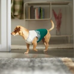 Frisco Tropical Palm Dog & Cat T-Shirt 13 Frisco Tropical Palm Dog & Cat T-Shirt -Pet Products Shop 312072 PT8. AC SS1800 V1644425897