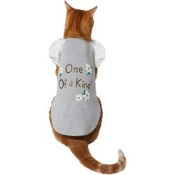 Frisco One Of A Kind Dog & Cat T-Shirt -Pet Products Shop 312080 PT2. AC SS1800 V1644424427