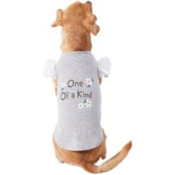 Frisco One Of A Kind Dog & Cat T-Shirt -Pet Products Shop 312080 PT3. AC SS1800 V1673303002
