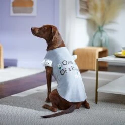 Frisco One Of A Kind Dog & Cat T-Shirt -Pet Products Shop 312080 PT5. AC SS1800 V1673304060