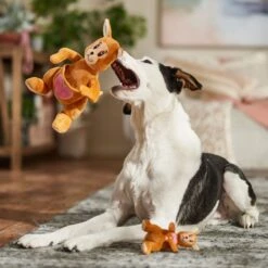 Frisco Valentine Kangaroo & Joey Plush Squeaky Dog Toy -Pet Products Shop 312899 PT3. AC SS1800 V1701364918